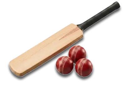 Cricket Bat