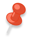 Red Pin icon
